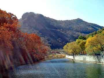 免費一肖一碼100期準確技巧,皇馬名宿馬塞洛宣布退役