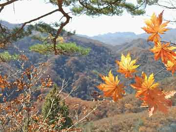 免費一肖一碼100期準(zhǔn)確技巧,皇馬名宿馬塞洛宣布退役