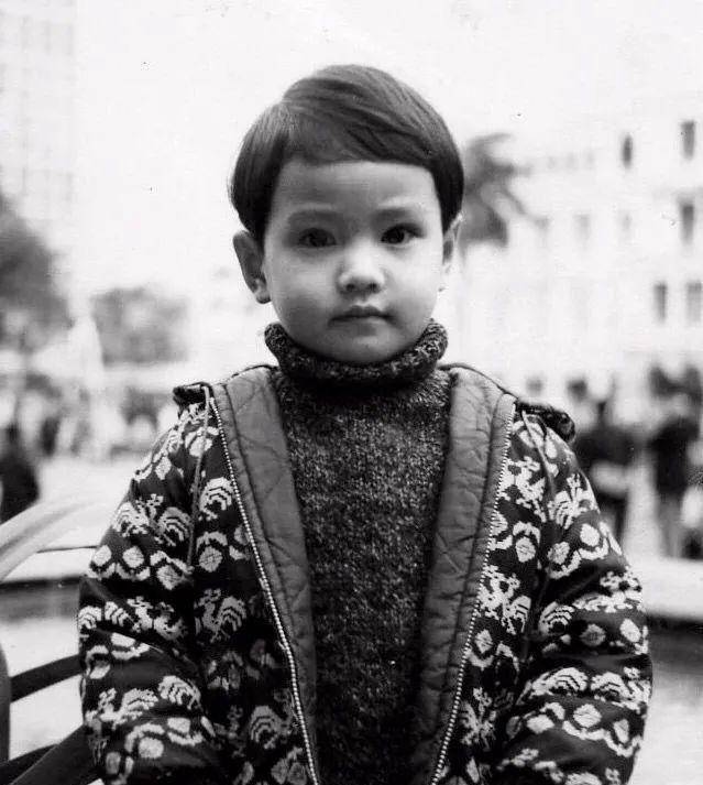 周海媚和誰結(jié)婚,周海媚的最新動態(tài)與情感生活，探索她的婚姻之路與未來展望,精細化分析說明_安卓版52.95.79