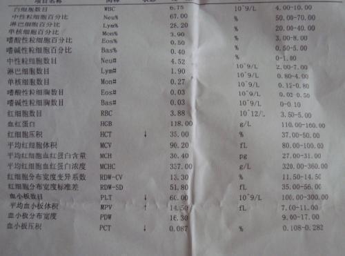 血常規(guī)哪個指標(biāo)看溶血,血常規(guī)檢查中溶血指標(biāo)的識別與評估，一種可行性方案的探討,適用解析方案_底版17.13.76