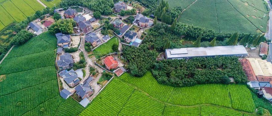 農(nóng)村空置宅基地解決,農(nóng)村空置宅基地解決，具體操作指導(dǎo)GT68.17.71,決策信息解析說明_RemixOS74.89.48