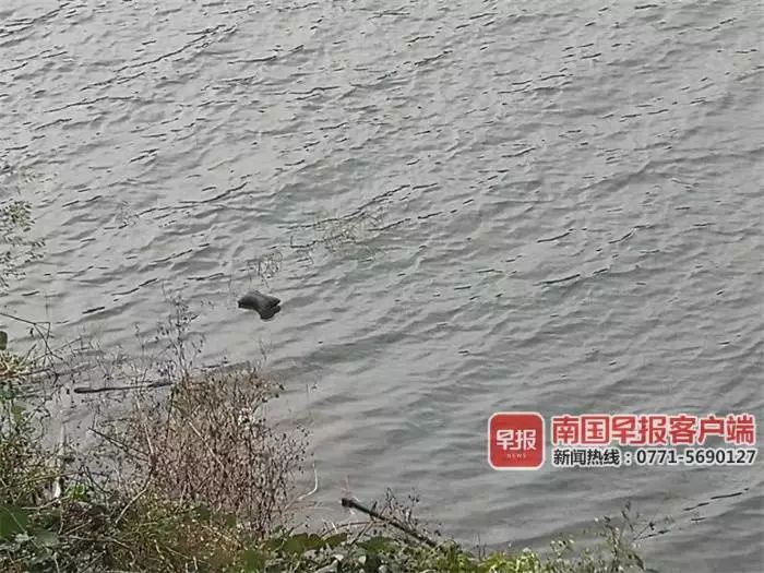 情侶吵架跳河,一人溺亡會拘留嗎,情侶爭執(zhí)中的意外事件與應(yīng)對平衡策略，基于關(guān)鍵詞的思考與指導(dǎo),高效方案實(shí)施設(shè)計(jì)_鋟版80.62.94