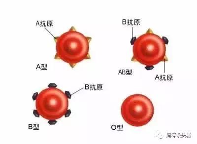 漓殤 第92頁
