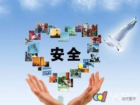 2025年新老版跑狗每期自動更新,探索未來跑狗數(shù)據(jù)系統(tǒng)，自動更新與設(shè)計(jì)的革新,全面數(shù)據(jù)應(yīng)用執(zhí)行_nShop57.14.60