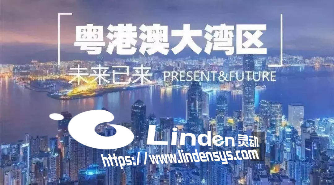 新澳門平特一肖,新澳門平特一肖精細化方案實施精英版，探索與機遇,精準實施解析_底版12.16.44