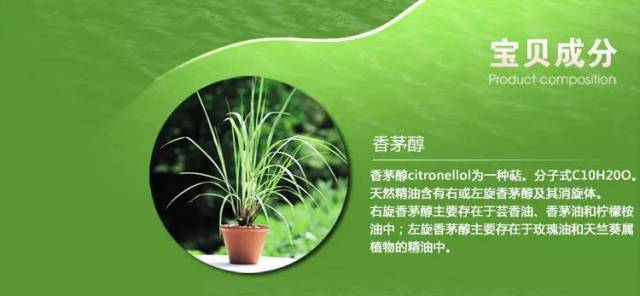 竹藤草是什么,竹藤草，一種自然之美的精細(xì)設(shè)計解析策略,實地數(shù)據(jù)評估解析_投版13.39.39