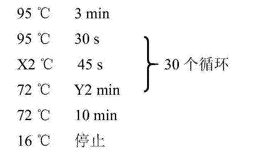縮聚產(chǎn)物的書寫要求,縮聚產(chǎn)物的書寫要求與適用實(shí)施策略，PalmOS 22.65.74環(huán)境下的探討,深層執(zhí)行數(shù)據(jù)策略_T83.45.41