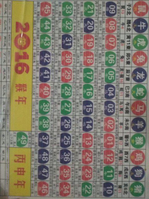 2025新版生肖恃碼表49彩色澳門(mén),探索未來(lái)生肖文化與技術(shù)評(píng)估——以生肖恃碼表與標(biāo)準(zhǔn)程序評(píng)估為例,全面數(shù)據(jù)分析實(shí)施_宋版77.20.28
