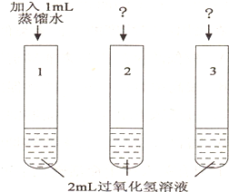 熱熔膠與色譜襯管污染的關(guān)系,熱熔膠與色譜襯管污染的關(guān)系，探究與迅速解答問題,快速方案執(zhí)行指南_Harmony款25.99.96