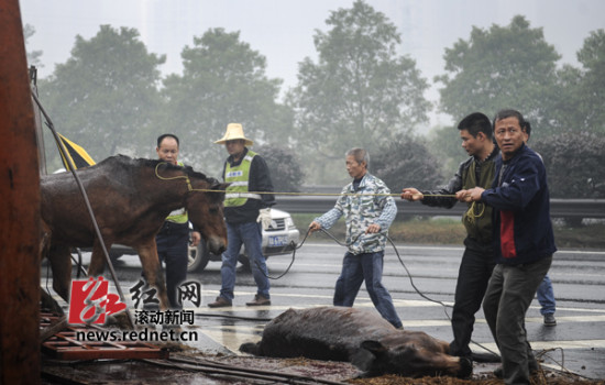 2024年澳門特馬今晚開(kāi)碼,澳門特馬動(dòng)態(tài)分析，探索未來(lái)的預(yù)測(cè)與解釋（移動(dòng)版72.76.83）,全面設(shè)計(jì)執(zhí)行方案_桌面款181.75.68