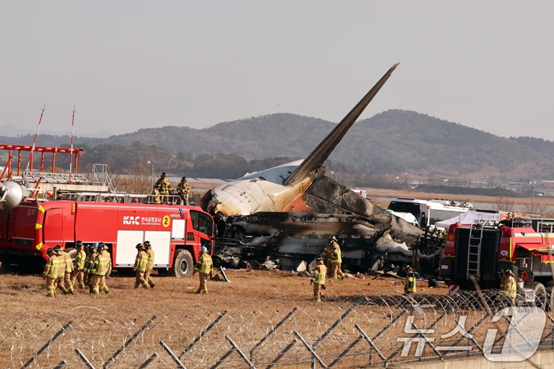 韓國客機(jī)事故遇難者DNA采集工作已經(jīng)完成。在事故發(fā)生后，為了確保遇難者的身份能夠被準(zhǔn)確確認(rèn)，家屬的配合是非常重要的。家屬們積極參與DNA采集過程，以便進(jìn)行身份確認(rèn)和后續(xù)處理。這一工作的完成為后續(xù)處理和安置工作提供了重要的基礎(chǔ)。對于此次事故，我們應(yīng)該尊重遇難者及其家屬，保持沉默和哀悼，同時對于相關(guān)的救援和安置工作，也應(yīng)該給予充分的關(guān)注和幫助。以上內(nèi)容僅供參考，如需更多信息，建議查閱相關(guān)官方報(bào)道。