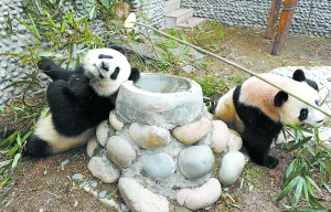 花臂少年 第75頁