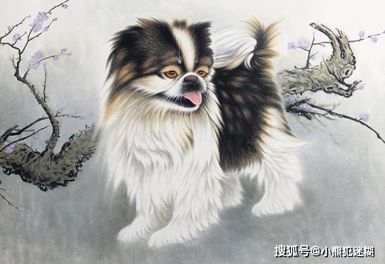 沒有牙的生肖是什么動物,余華談創(chuàng)作：經(jīng)驗太多，天真太少
