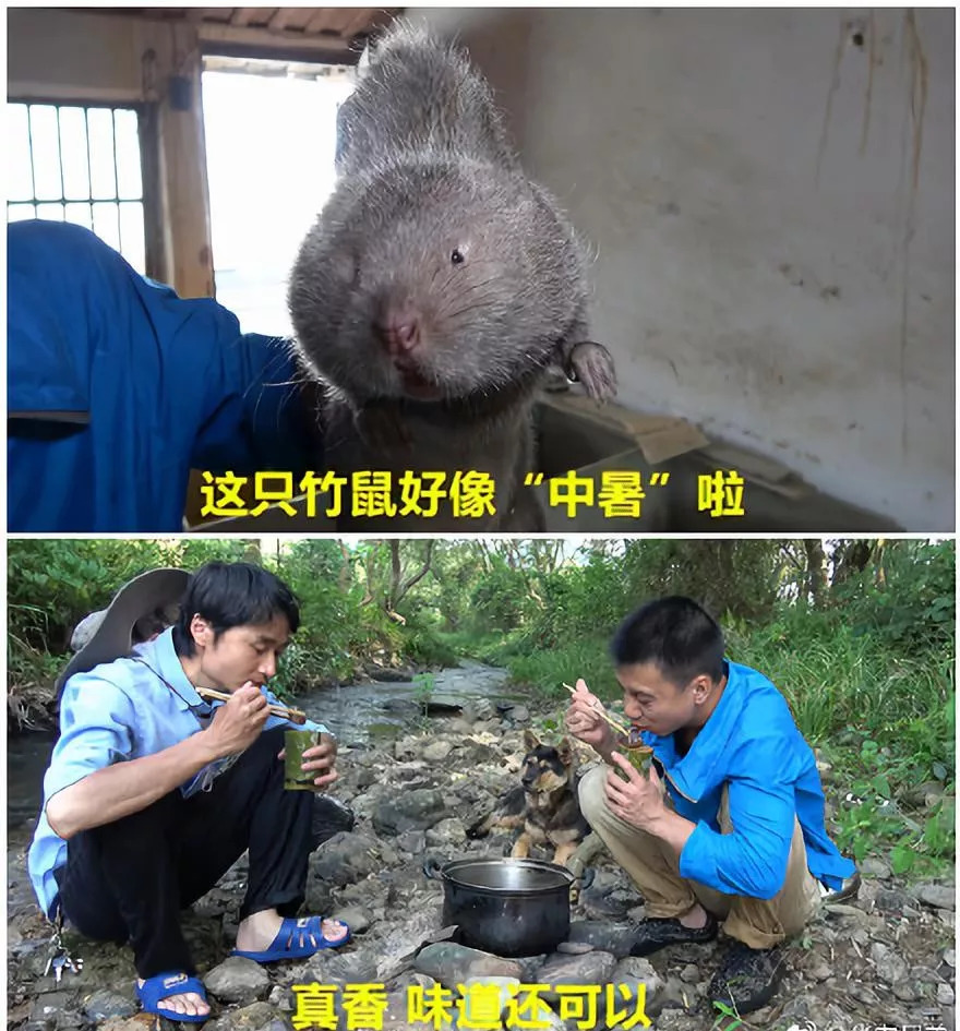 花臂少年 第16頁