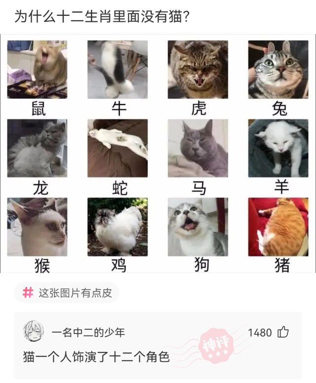 十二生肖論壇資料準(zhǔn)八百圖庫,22歲腦癱女孩街頭賣發(fā)卡2元一個